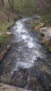 Mount river / Creek
