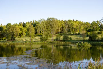 Foto op Plexiglas beautiful lake landscape in Sweden © Tomtsya