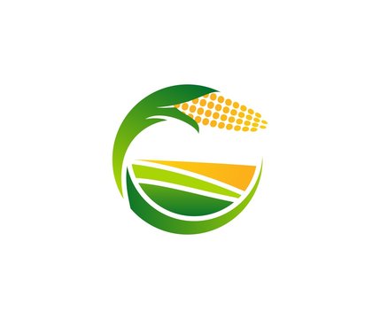 Corn logo
