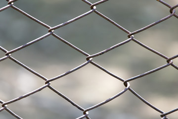 metal mesh in nature as a background