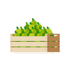 Wooden crate box full of fresh apples isolated on a white background. Vector illustration. Flat design style