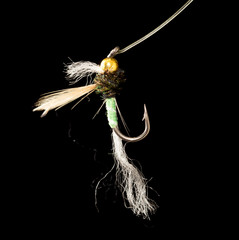 fly to catch fish on a black background