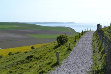 Fototapeten paadje langs koolzaadvelden aan de Noordfranse kust © henkbouwers