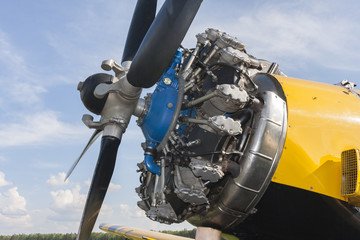 Aircraft engine and propeller