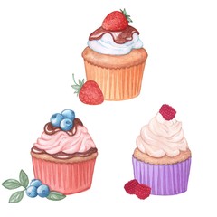 Cupcakes set.
Watercolor. Handmade drawing. Isolated on white