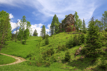 Park Narodowy Pieniny / Rezerwat białej wody / Polska / Krajobraz