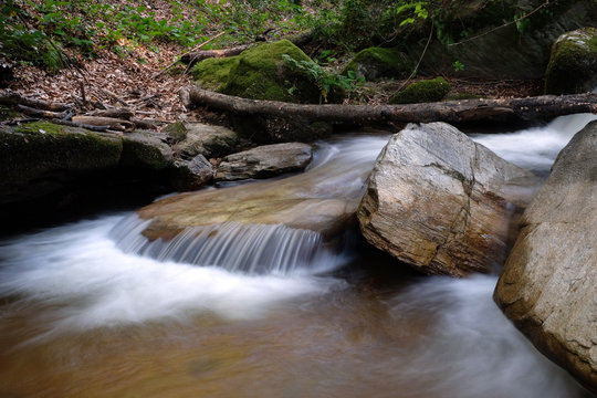 rocks in stream in forest