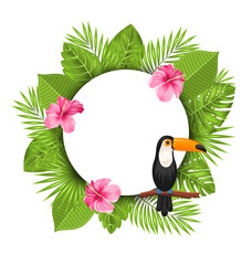 Clean Card with Pink Roses Mallow, Toucan Bird © -=MadDog=-