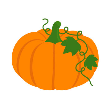 Flat icon pumpkin with leaves. Vector illustration.