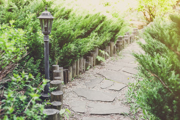 Naklejka premium Landscape design, evergreen bushes and path 