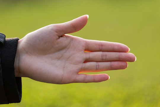 Girl hand on nature on a sunset background