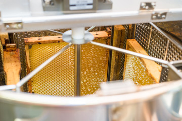 Blick in die mit Honigwaben befüllte Honigschleuder