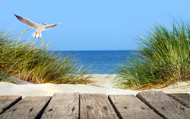 Tuinposter Baltisch strand met promenade, duinen en meeuwen © Visions-AD