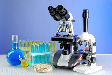 Microscopes, Petri dish with samples of grain and test tubes on table, on color background