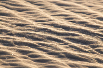 sand in nature as a background
