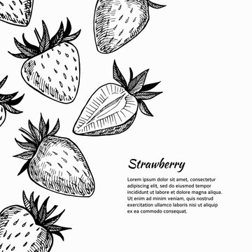 Hand-drawn vector illustration. Card or banner with strawberry.