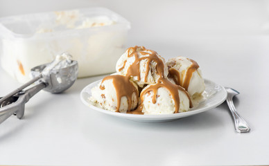 Homemade vanilla ice cream