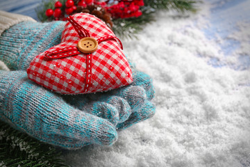 Fototapeta na wymiar Female hands in mittens with decorative heart on snow background