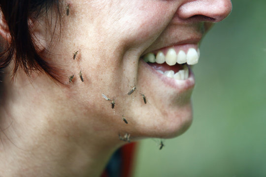 Laughing woman with mosquitoes on face
