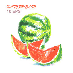 colorful hand drawn of watermelon.vector illustration