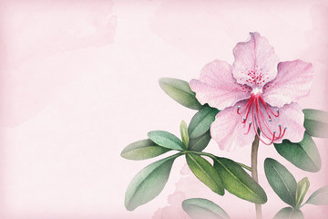 Fototapeta premium Background with watercolor flowers. Perfect for greeting cards