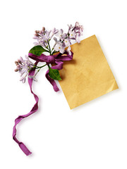 Paper tag with bow and lilac flowers