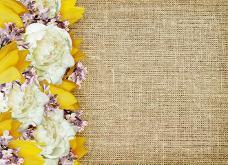 Peony, tulips and lilac flowers edge