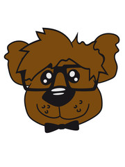 head, face, nerd geek smart hornbrille clever fly cool young comic cartoon teddy bear