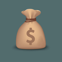 picture of cloth bag