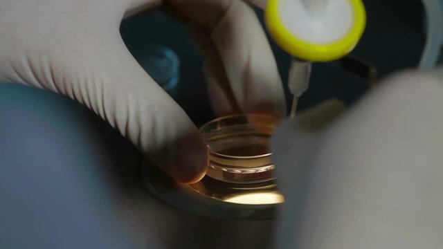 Storing frozen eggs sperm in box liquid nitrogen