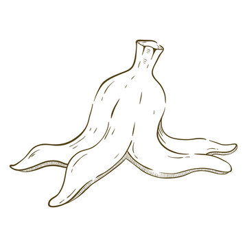 recommend clip art: Illustration Of Peeled Banana With Outline And Like Sketchy Style