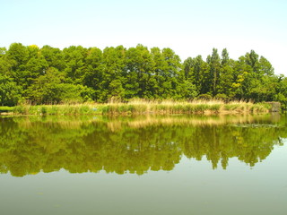 Fototapeta na wymiar 対岸からの水元公園風景