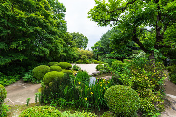 京都　新緑の詩仙堂