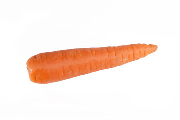 Carrot on the white background