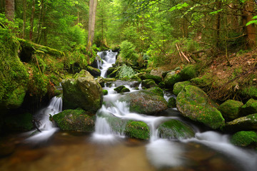 Waterfall in the national park Sumava-Czech Republic