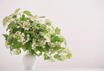 bouquet in the vase with white flowers