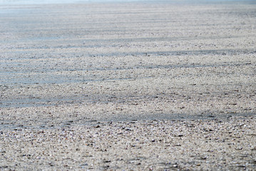 砂浜のテクスチャ