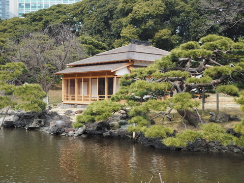 Hama rikyu japanese garden in tokyo photography OLYMPUS DIGITAL CAMERA