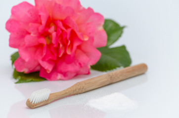Fototapeta na wymiar no plastic, wood toothbrush and xylitol, birch sugar, rose on white