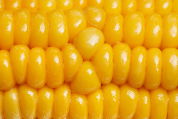 ripe juicy boiled corn closeup