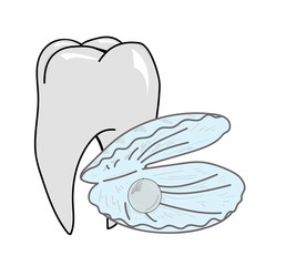 shell with a pearl on a background of a healthy tooth. vector illustration