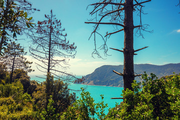 Wilde rocky sea coast. Ligurian sea, Monterossa Village, Cinqe Terre, Italy