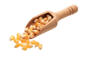 Dried corn seeds in a wooden scoop