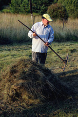 rakes hay field landscape