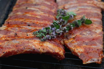 meat skewers on the barbecue coals