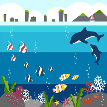 background under the sea 