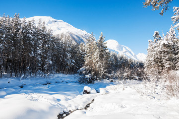 Fototapeta na wymiar Winter forest and mountains at sunny day