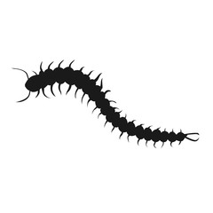 Centipede Insect Icon