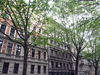 Grünes Berlin: Straße in Kreuzberg