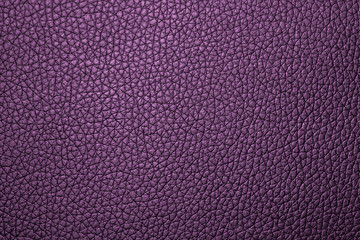 Purple and violet leather texture. Leather texture. Leather background. Leather jacket. leather bag. Leather sofa. Leather book. For design with copy space for text or image.